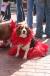 resIMG_20080127_3832.JPG